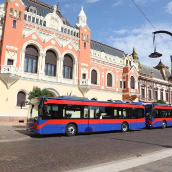 Modificări la traseele liniilor de autobuz în perioada 31 octombrie – 6 noiembrie 2023